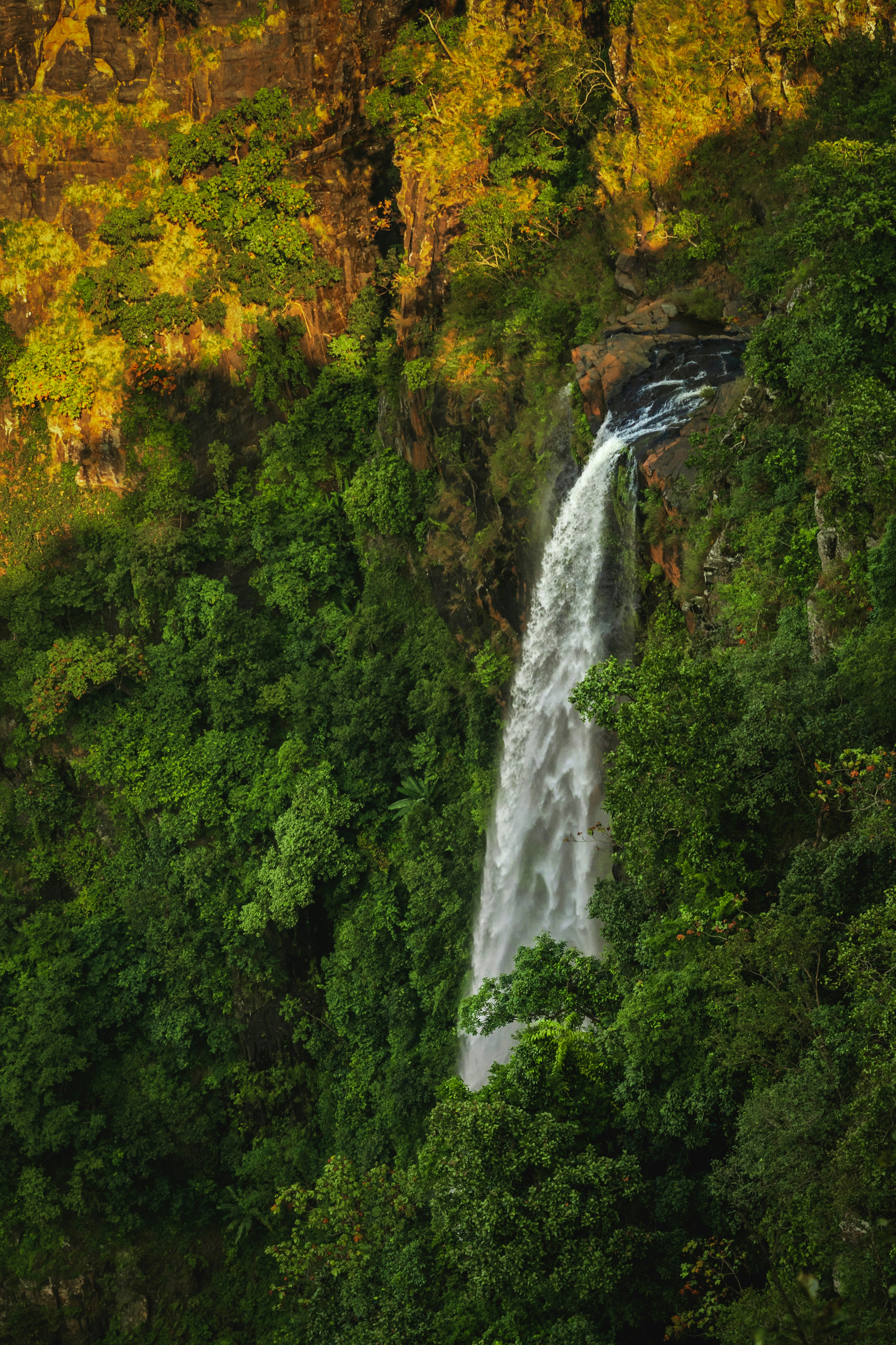 Photo by subhadeep57