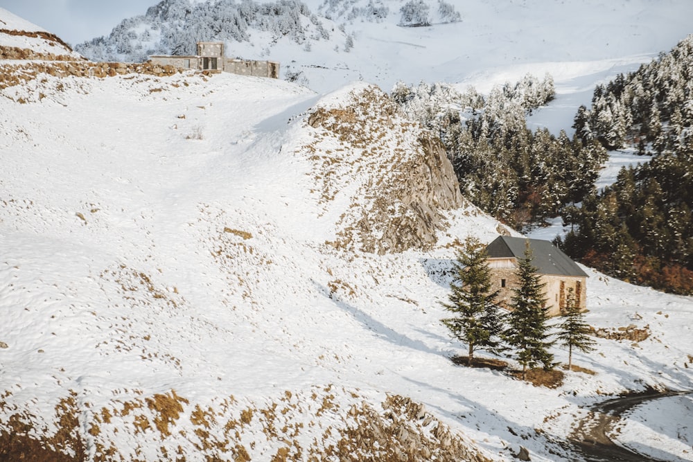 brown house on snow covered ground