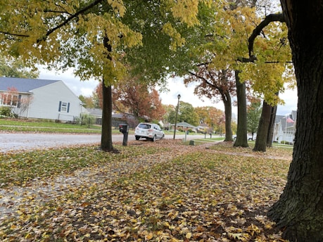 A worker raking leaves in a tidy suburban yard surrounded by trees.