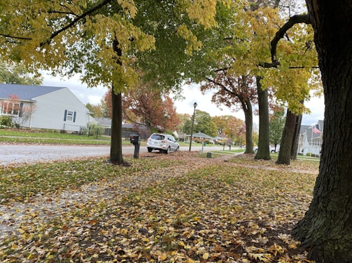 Seasonal cleanup in progress with leaves being raked and removed from a suburban lawn.