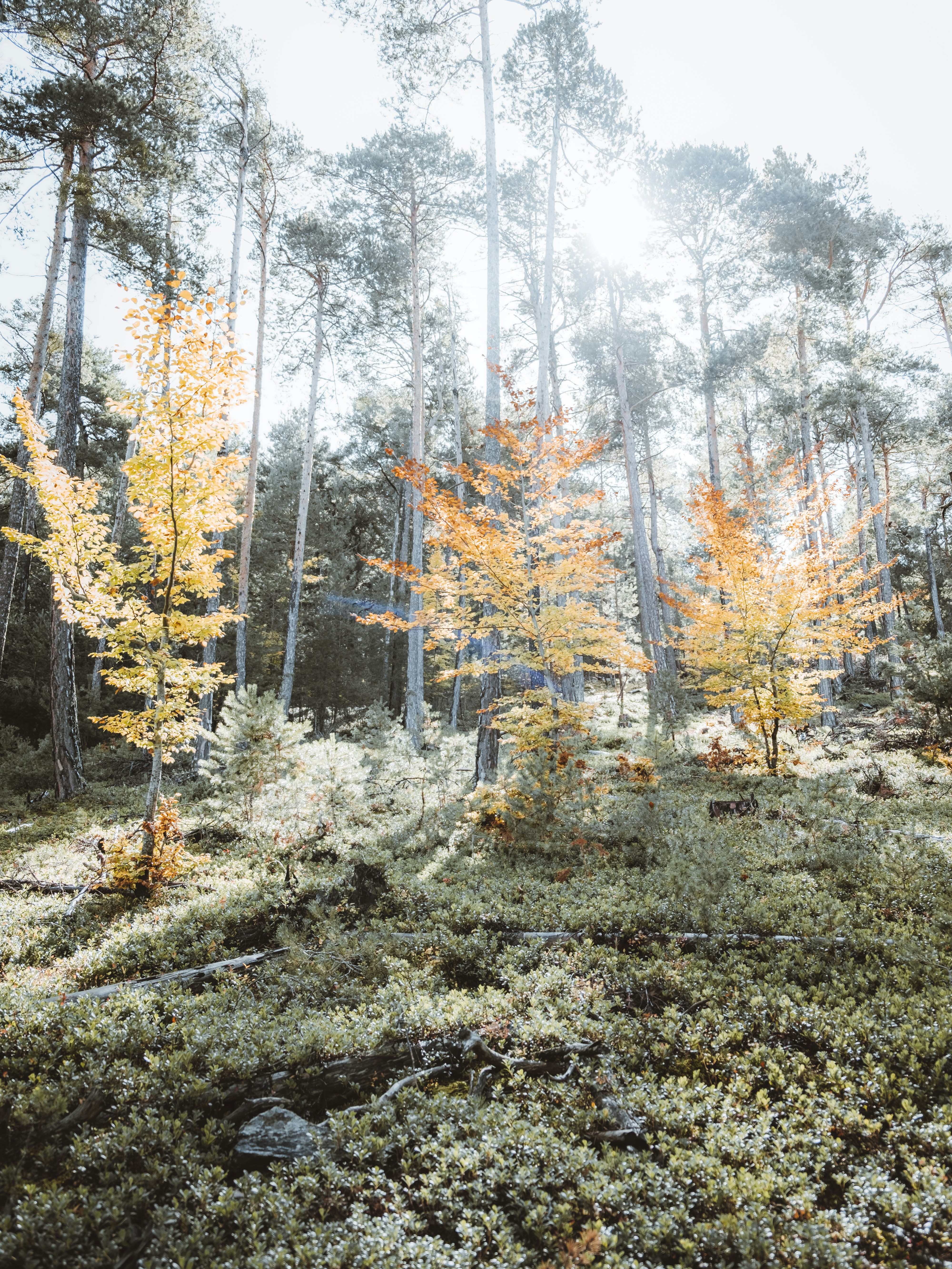 Photo by absolutocaos