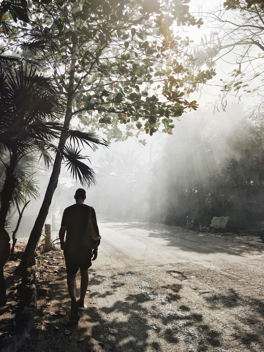 man in black jacket standing near green tree during daytime