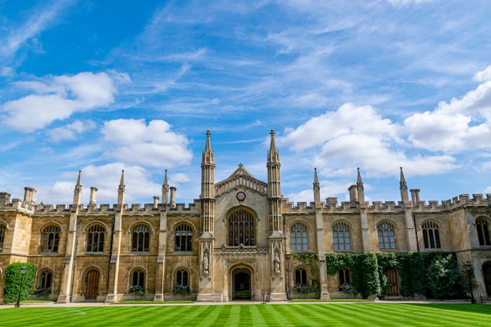 University and higher education digital marketing SEO enrolment campaigns organic traffic growth