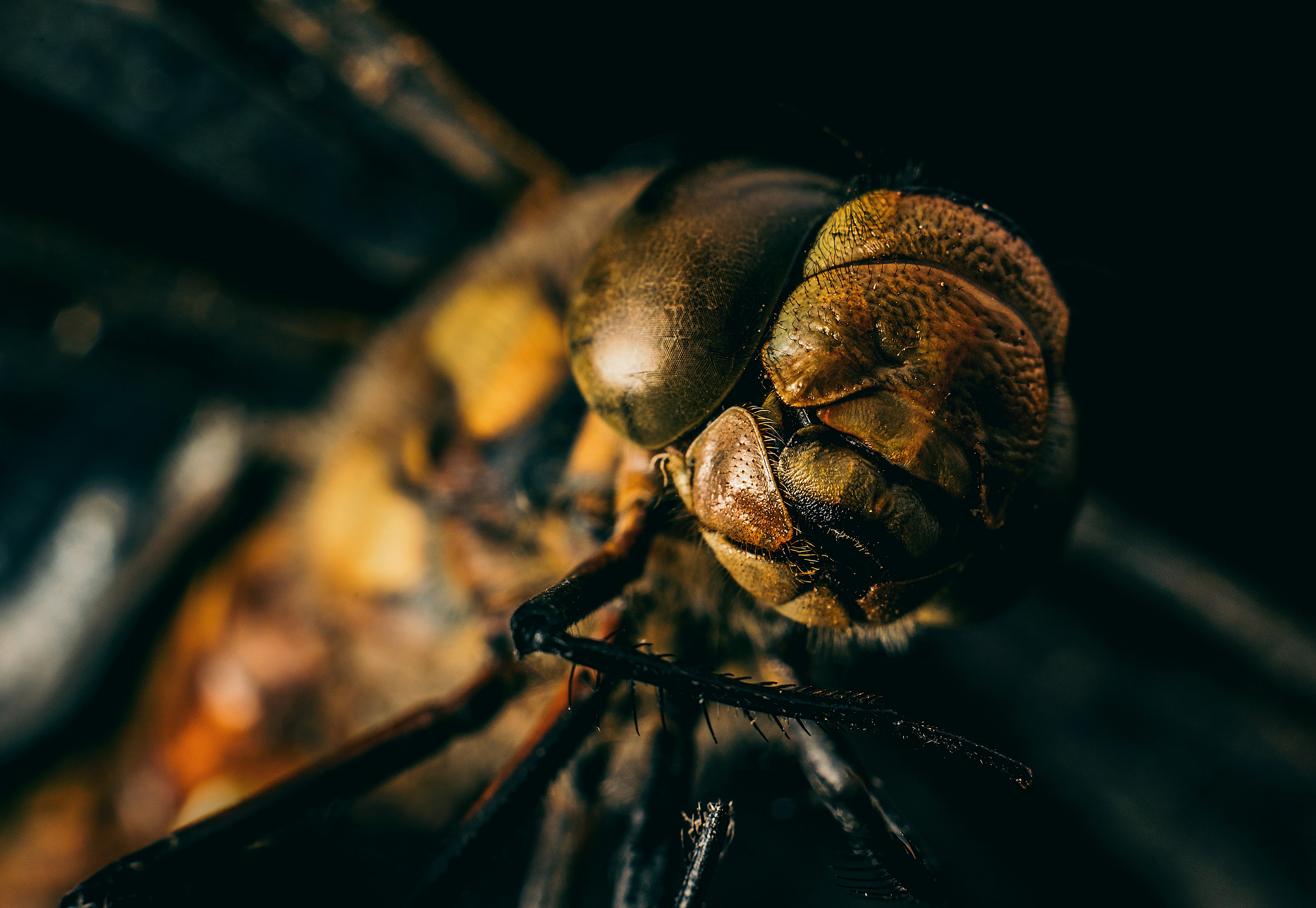 Photo by alex_andrews