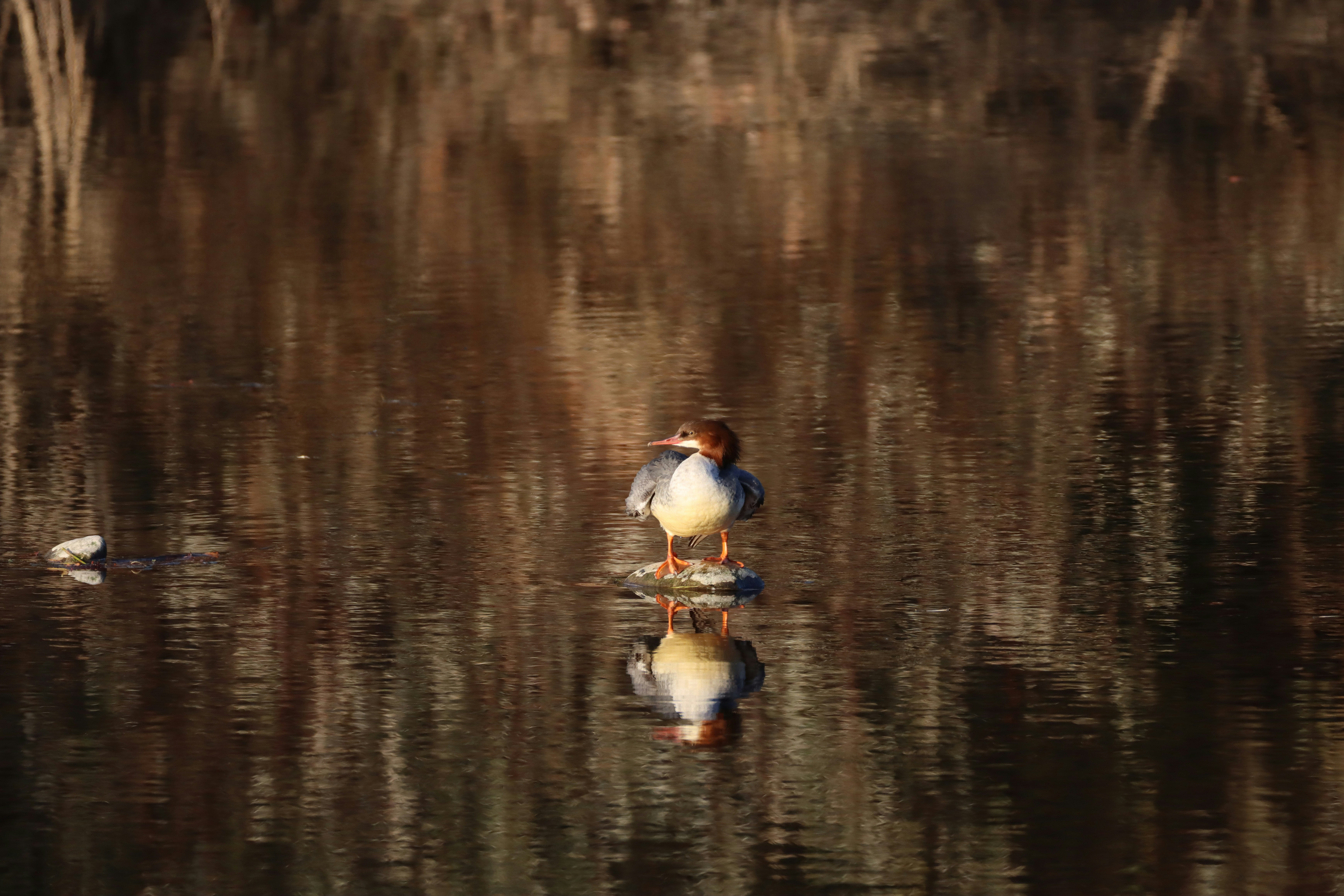 Photo by photasticlab