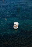 white and black boat on body of water during daytime