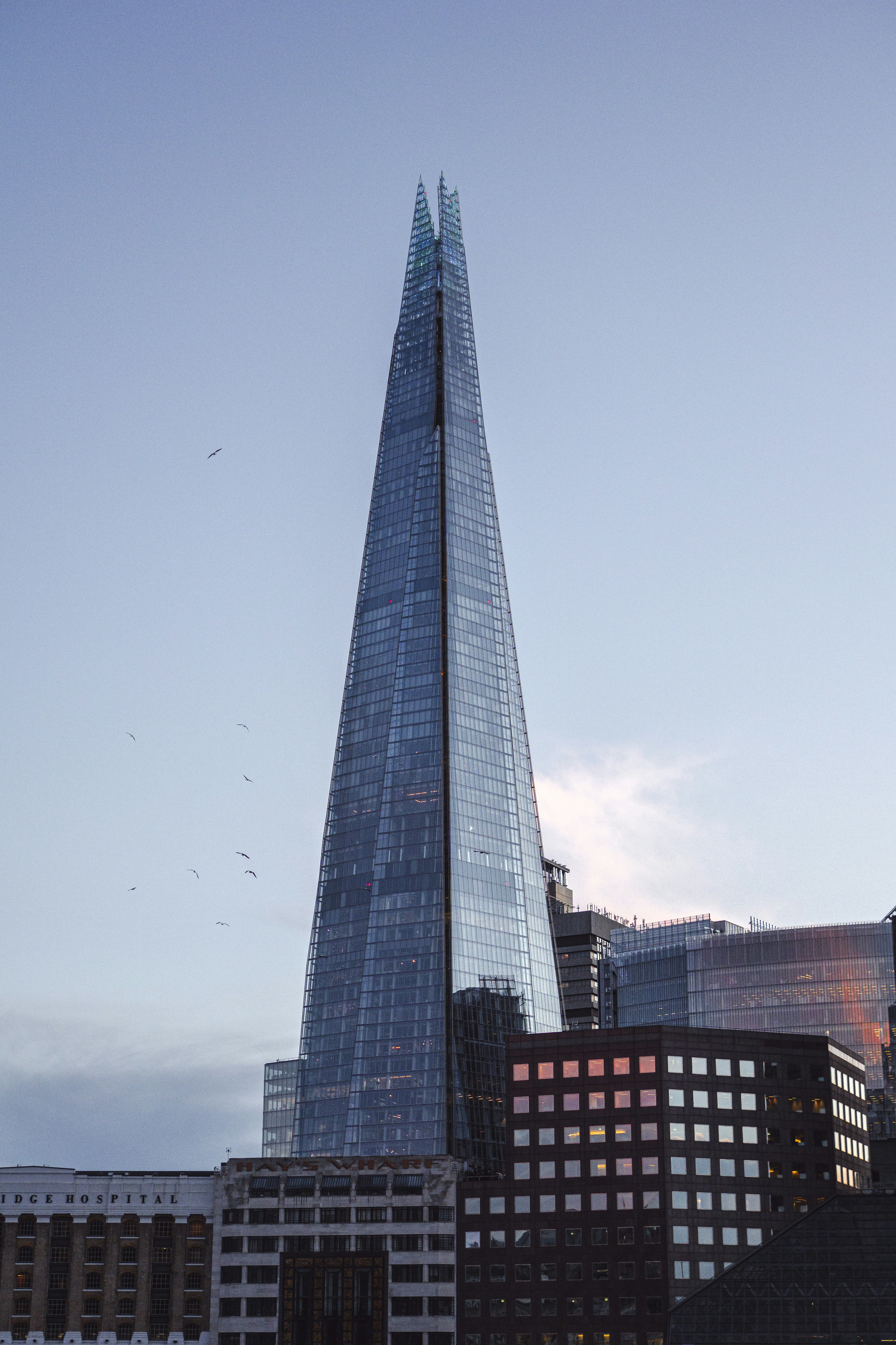 Photo by peter_mc_greats