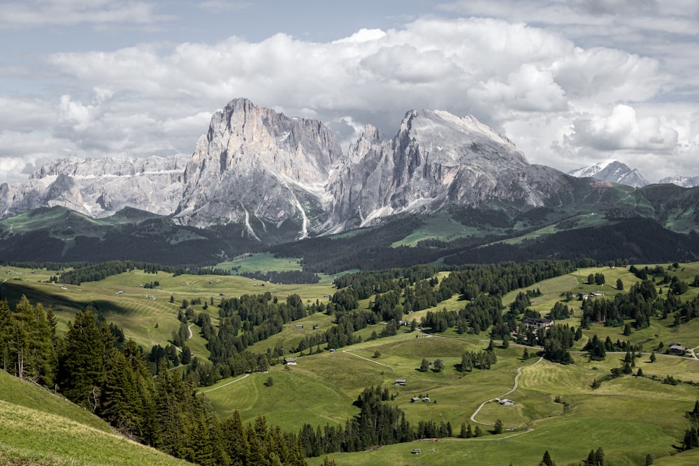 Grünes Grasfeld in der Nähe des schneebedeckten Berges tagsüber