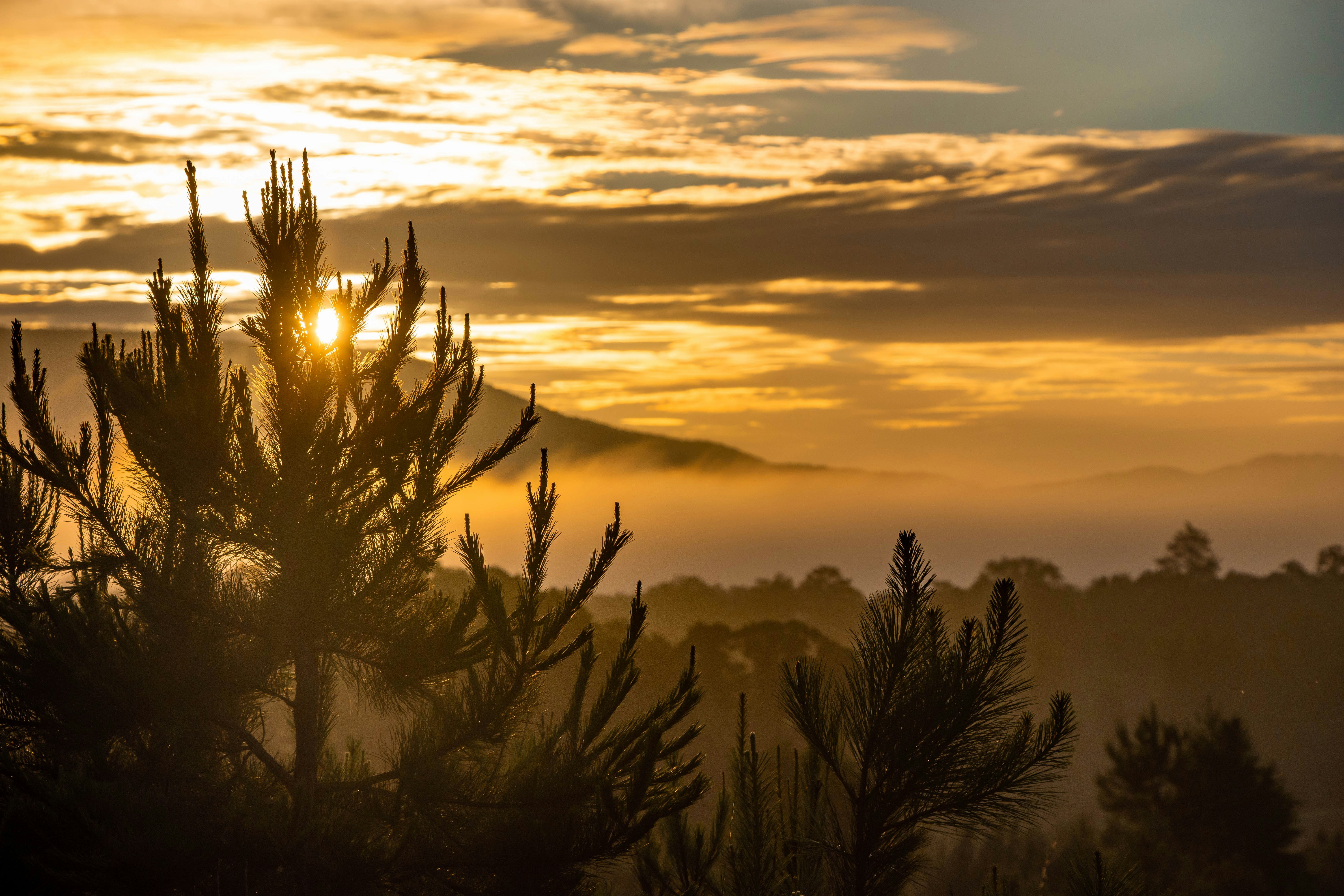 Photo by abigailducote