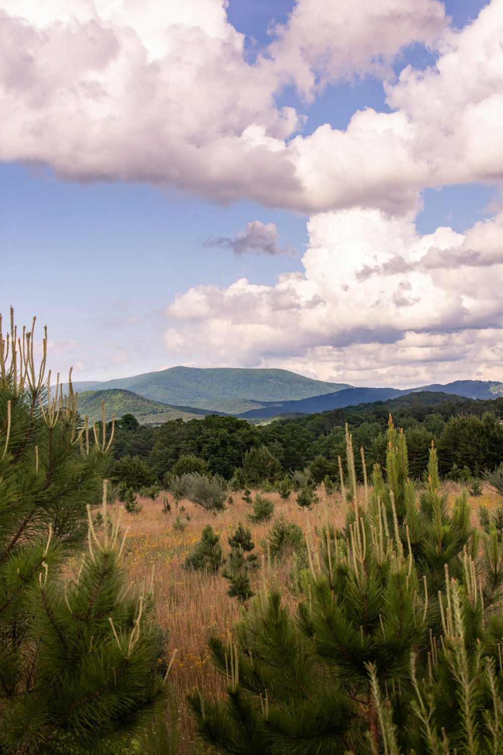 green grass field near mountain under white clouds and blue sky during daytime