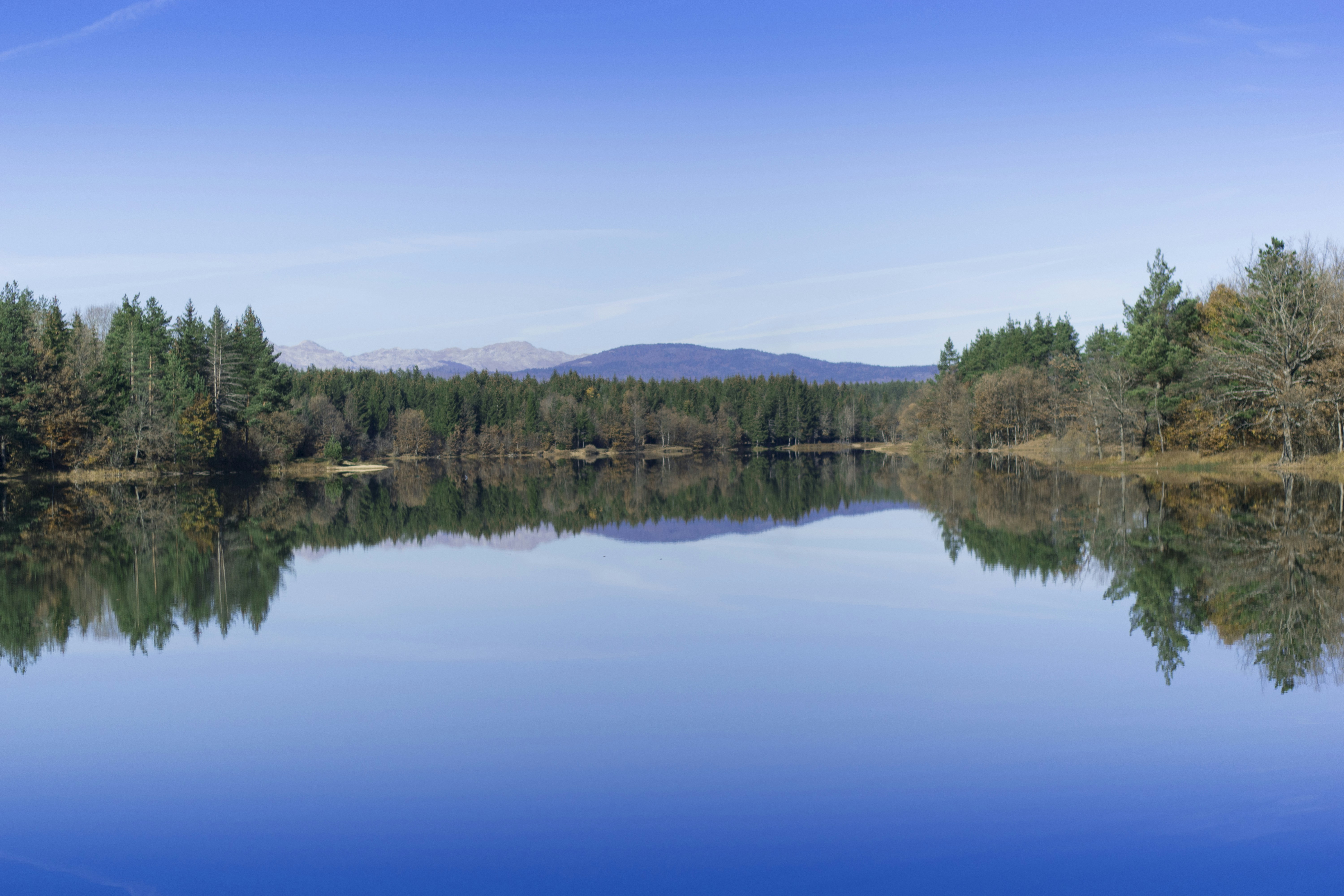 Photo by predraglasica