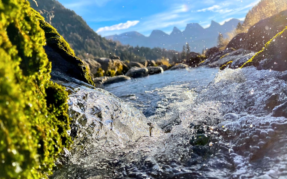 green moss on rocky mountain during daytime