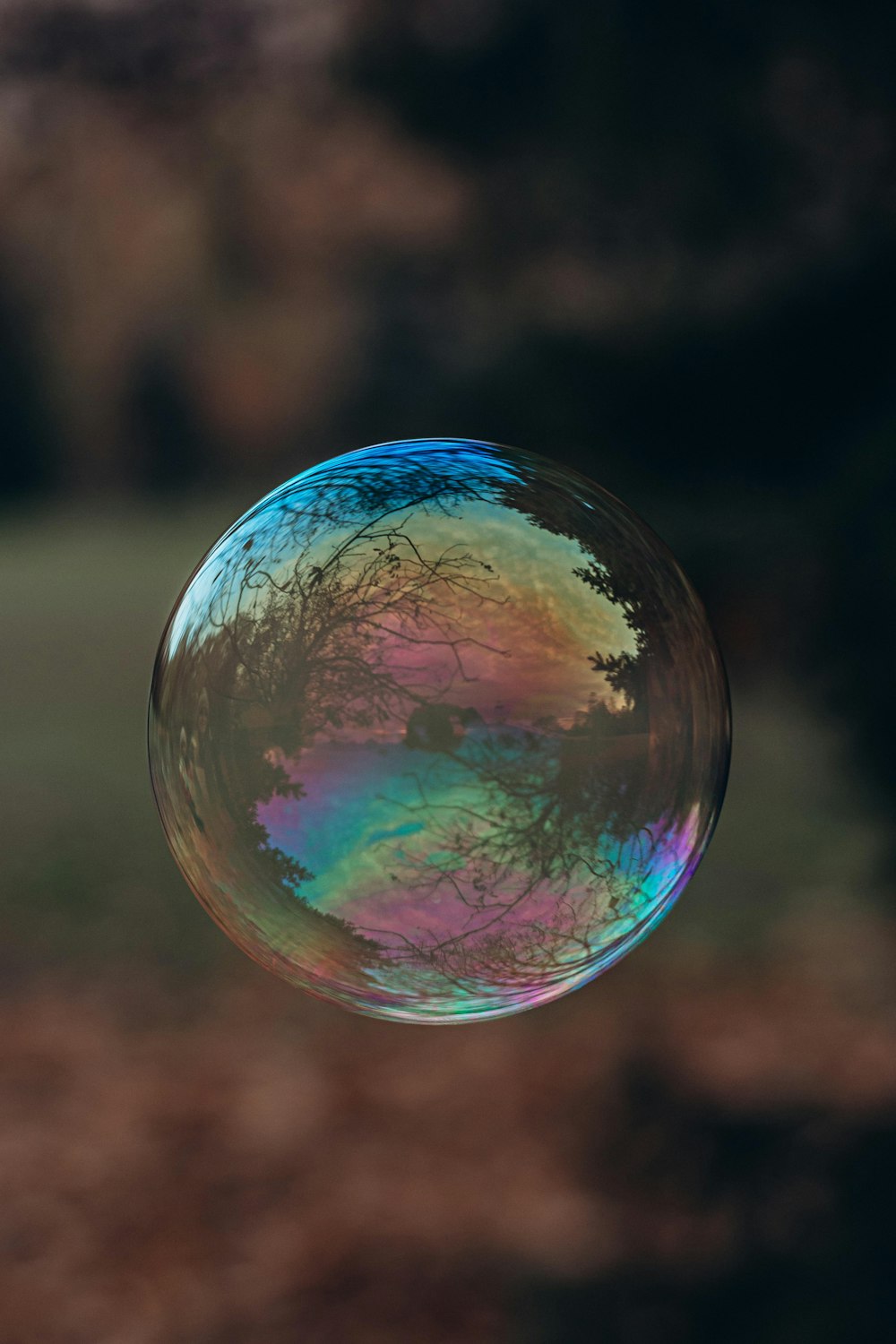 Foto de primer plano de la burbuja