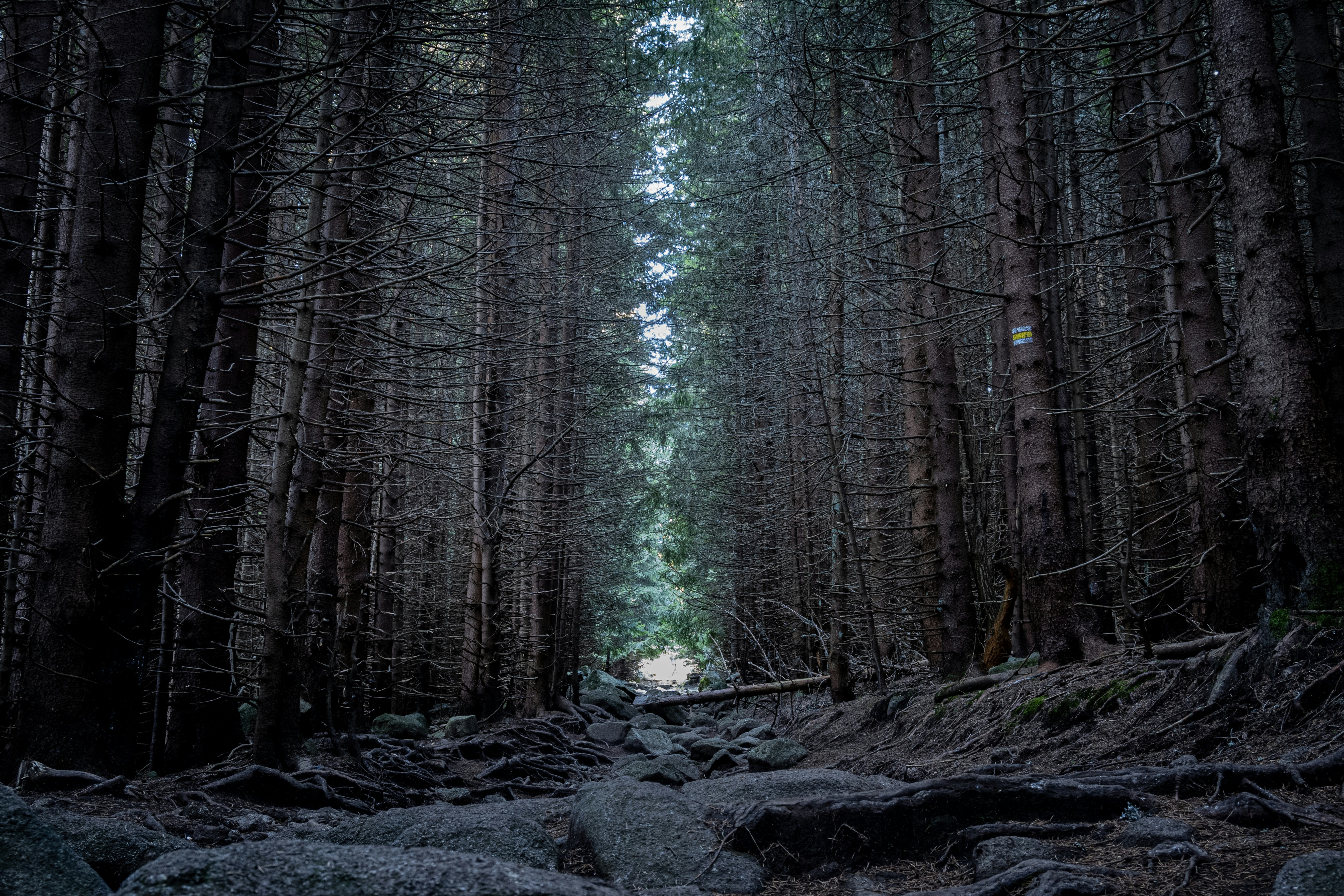 Photo by siavi