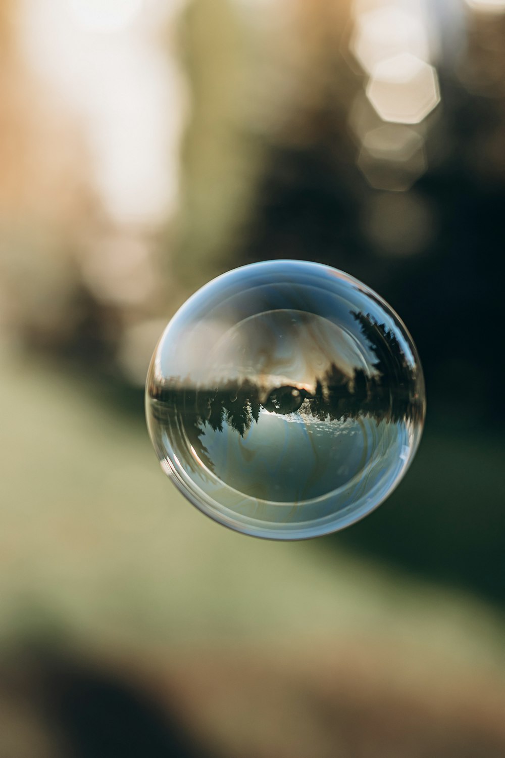 water drop in bokeh photography