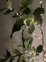 Artificial tree with vibrant green leaves in a cozy living room.