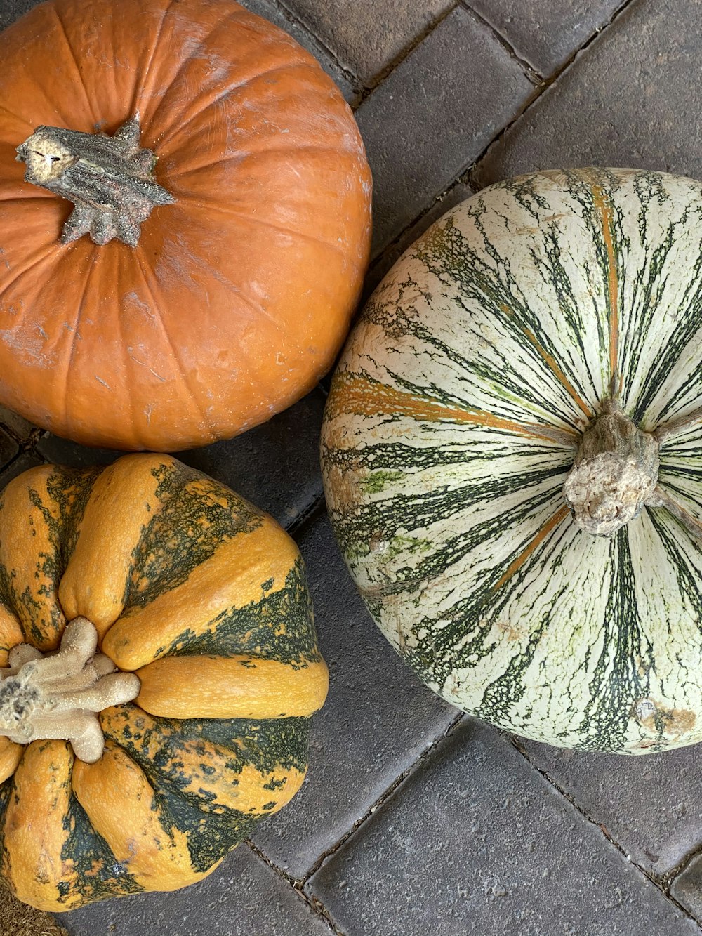 orange and green pumpkin on black table