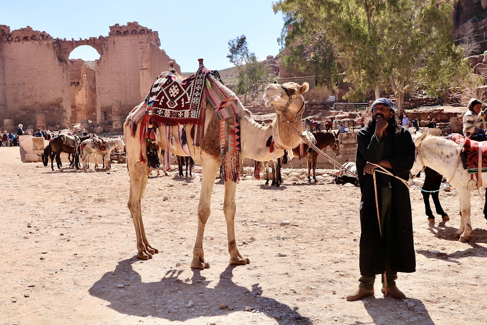 people standing on brown sand during daytime