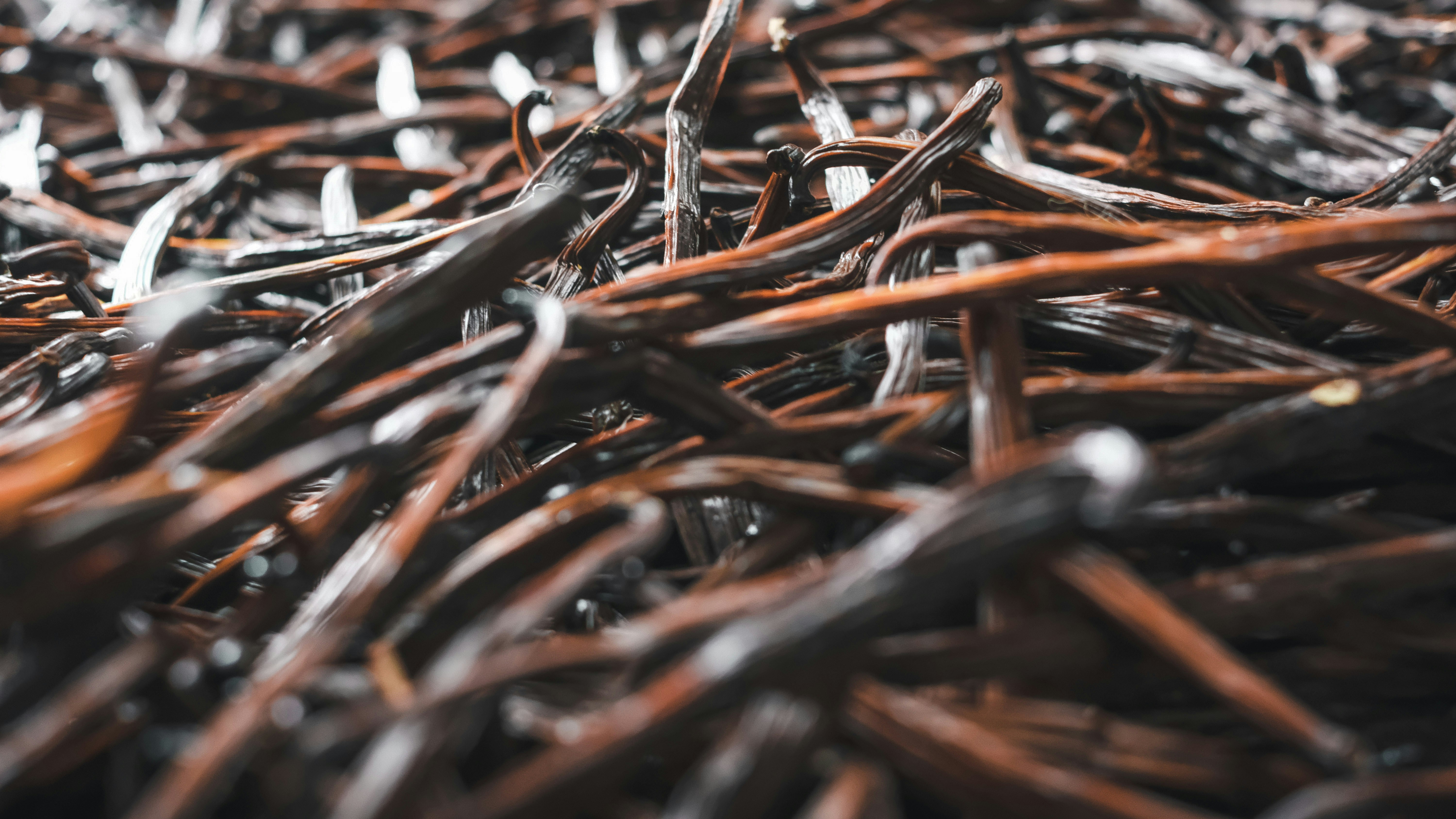 Gousses de vanille bio