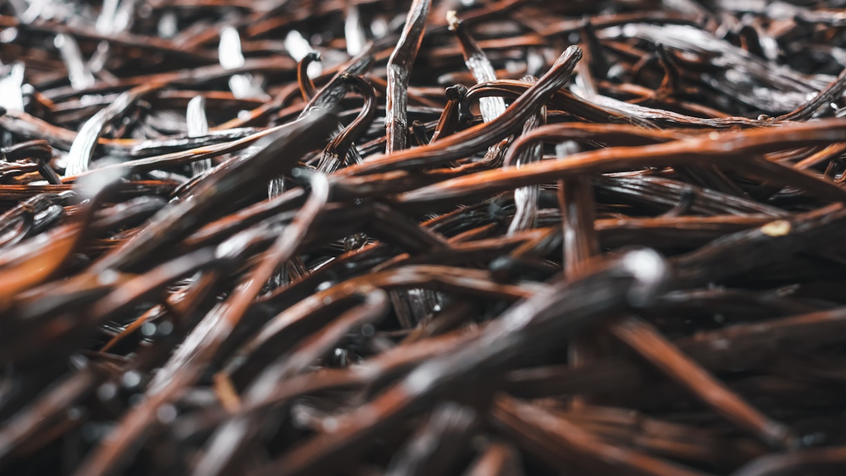 A close-up view of numerous dried vanilla beans intertwined in a chaotic pattern. The beans have a shiny, dark brown texture with hints of glossy highlights, indicating freshness and richness.