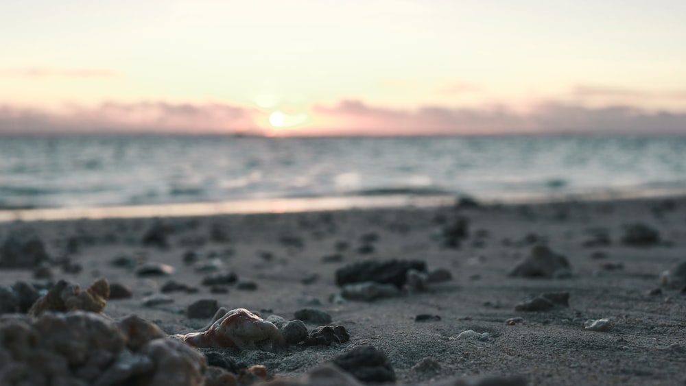 gray stones on beach during sunset