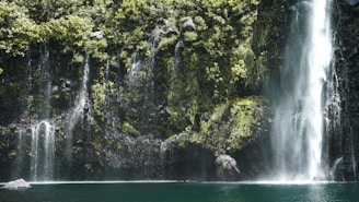 water falls in the middle of green trees