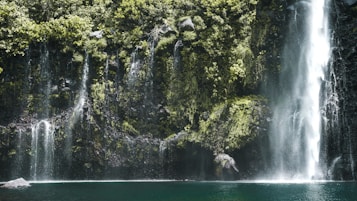 A lush green landscape featuring a cascading waterfall flowing down a rocky, moss-covered cliff into a tranquil pool of water. Sunlight filters through the leaves, creating a dappled effect on the rocks and water. The dense foliage surrounding the waterfall adds a feeling of seclusion and natural beauty.