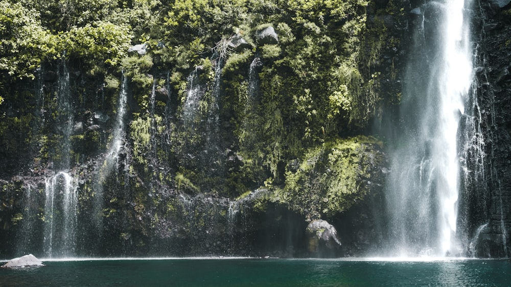 water falls in the middle of green trees