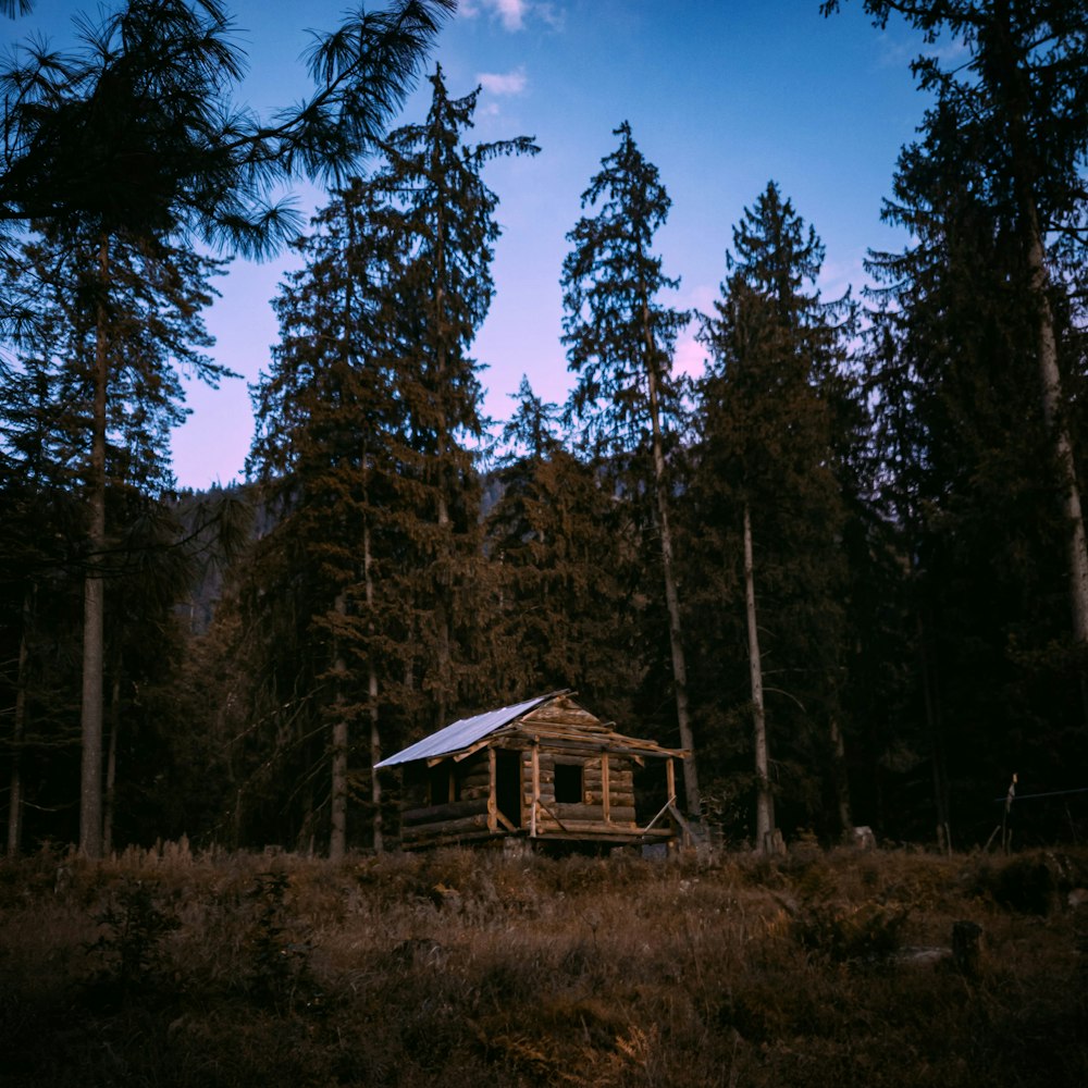 brown wooden house surrounded by trees under blue sky during daytime