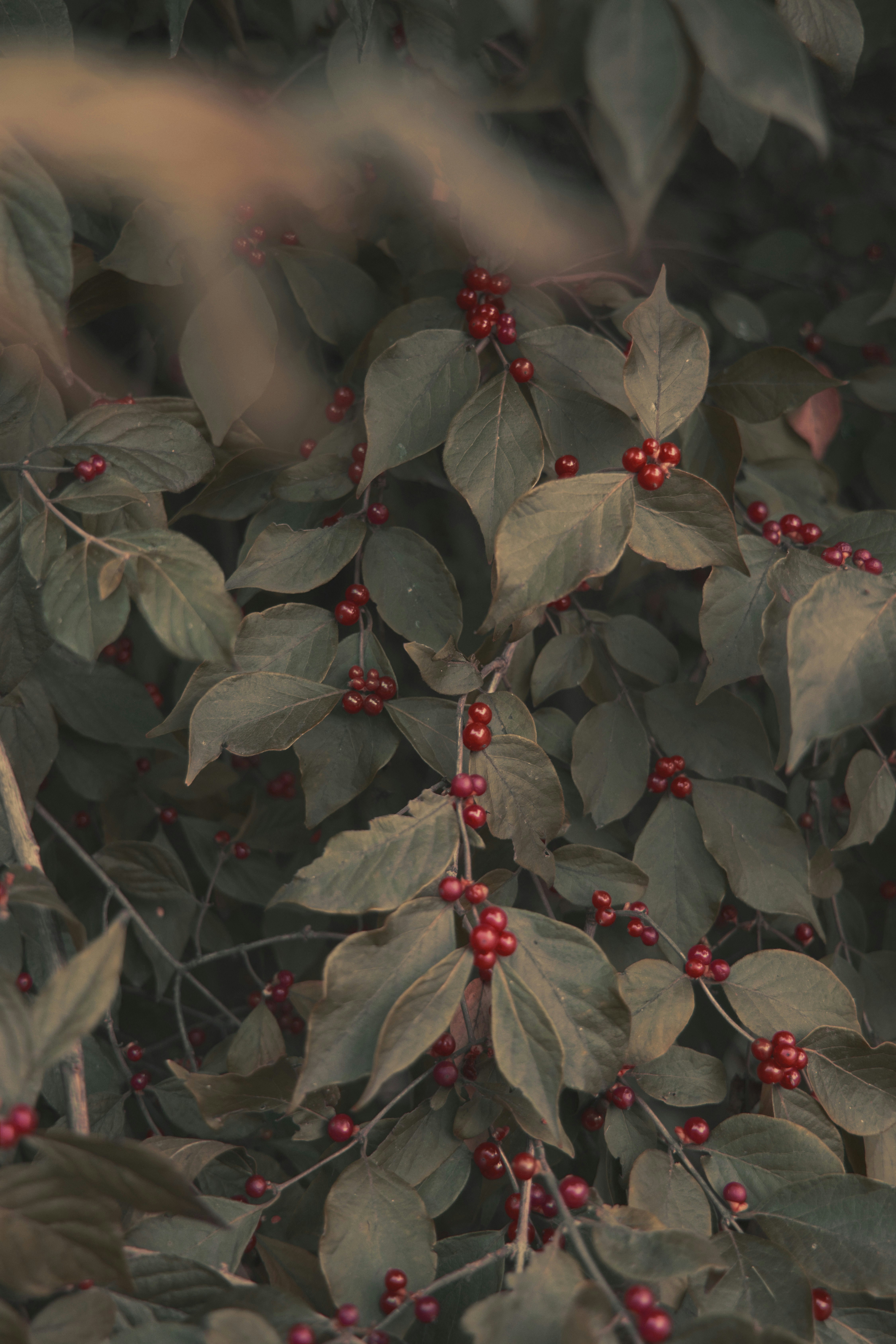 Photo by ldpeterson11