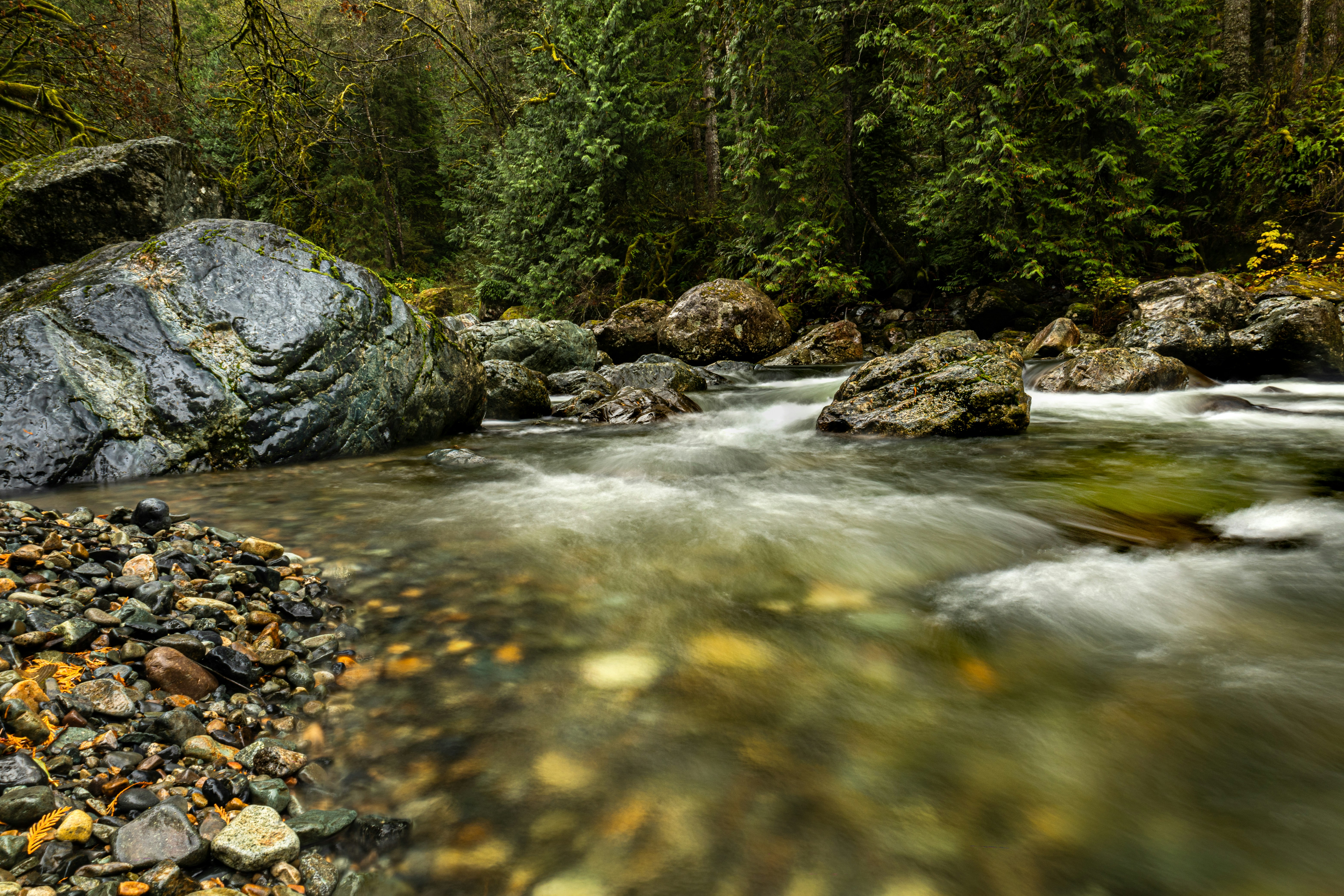 Photo by jpeg_jasper