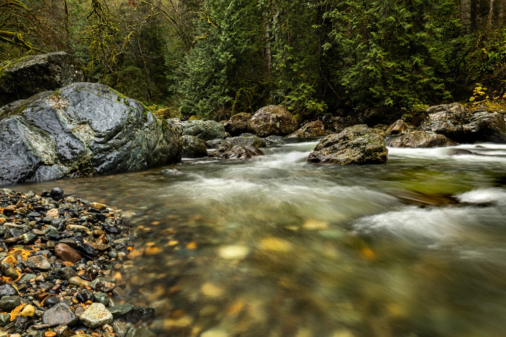 gray rocks on river during daytime