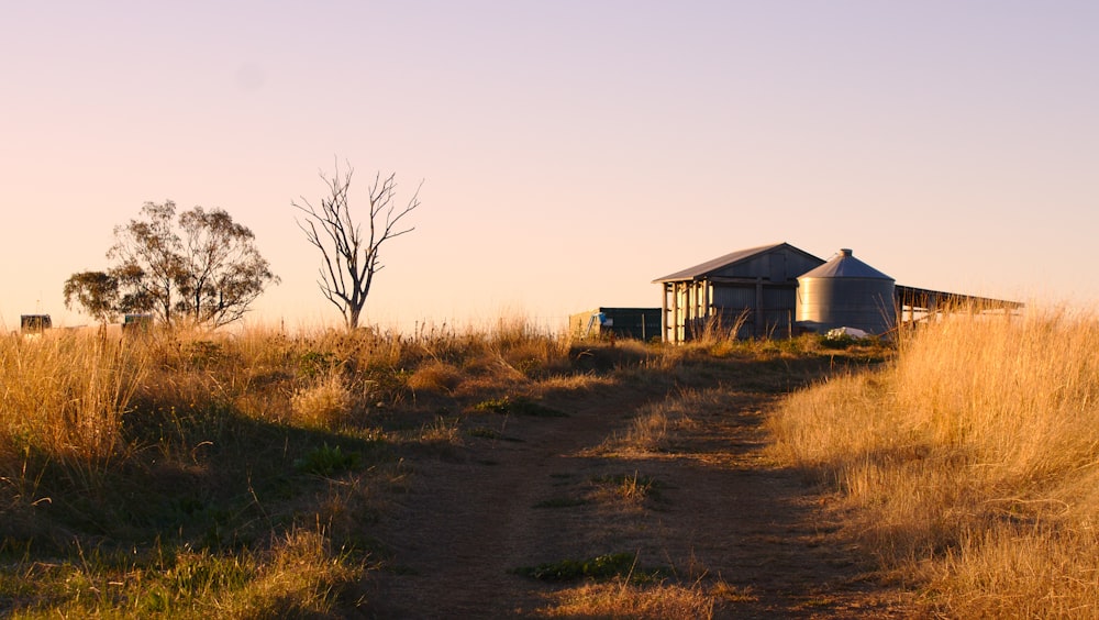 Casa de madera blanca y marrón sobre campo de hierba marrón