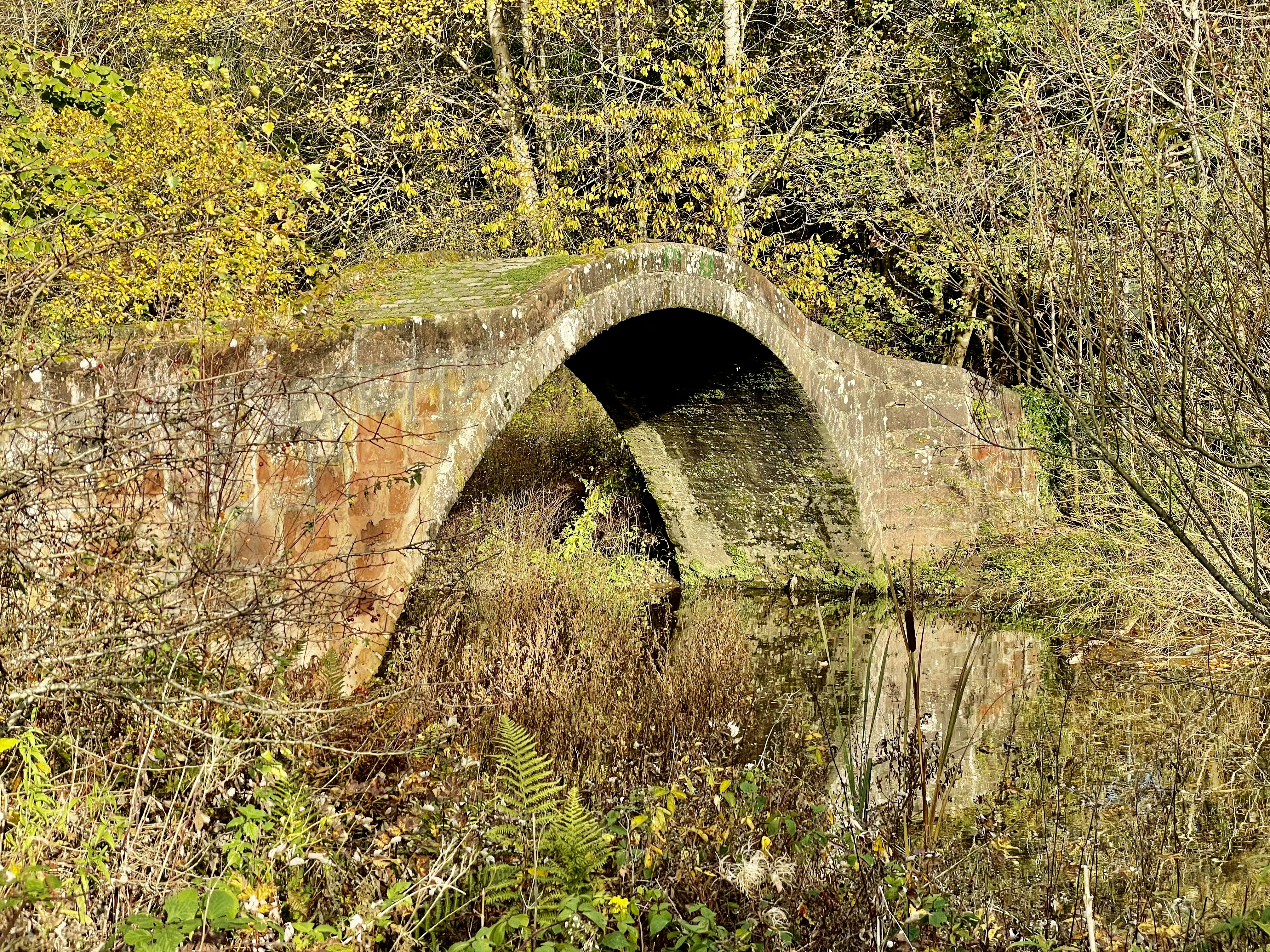 Photo by stephenodonn