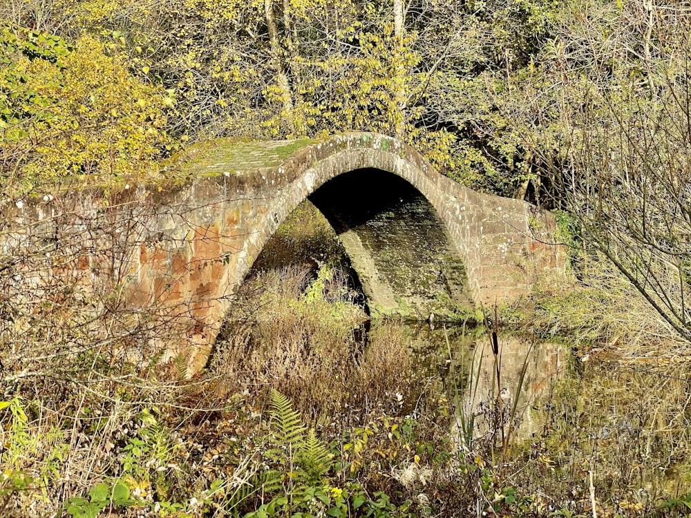 brown concrete bridge over river