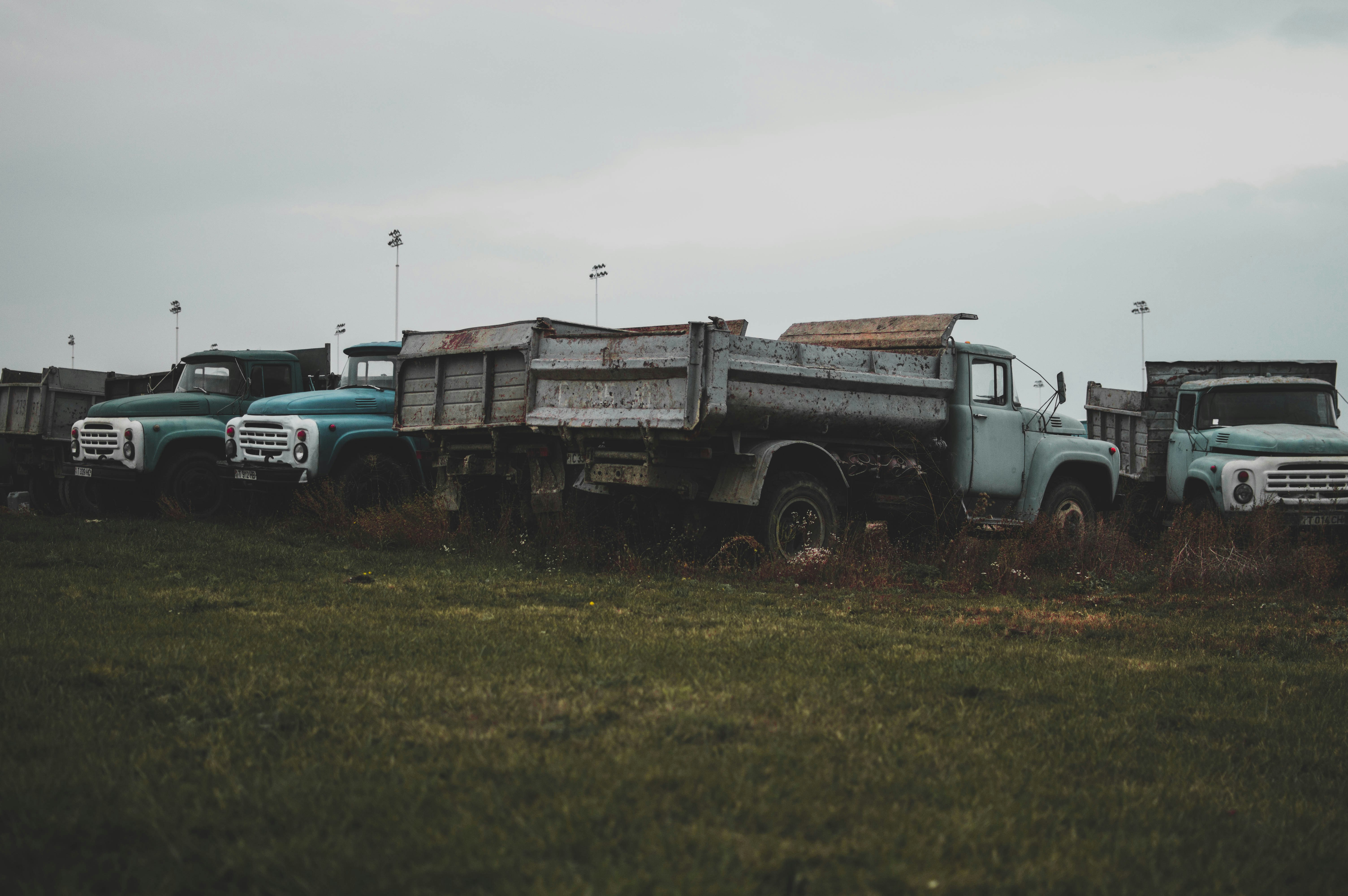 blue and brown truck on green grass field during daytime