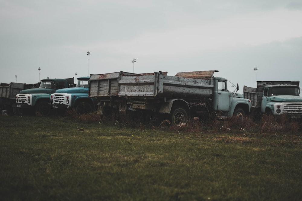 blue and brown truck on green grass field during daytime