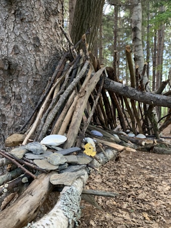 A collection of sticks and stones is arranged in a structure leaning against a large tree in a forest. The sticks are mostly placed vertically and horizontally to create a simple framework, and flat stones are laid on top of them, perhaps as decoration or for stability. The ground is covered with dried leaves, and the surrounding area is filled with tall trees and green foliage, giving a natural woodland setting.