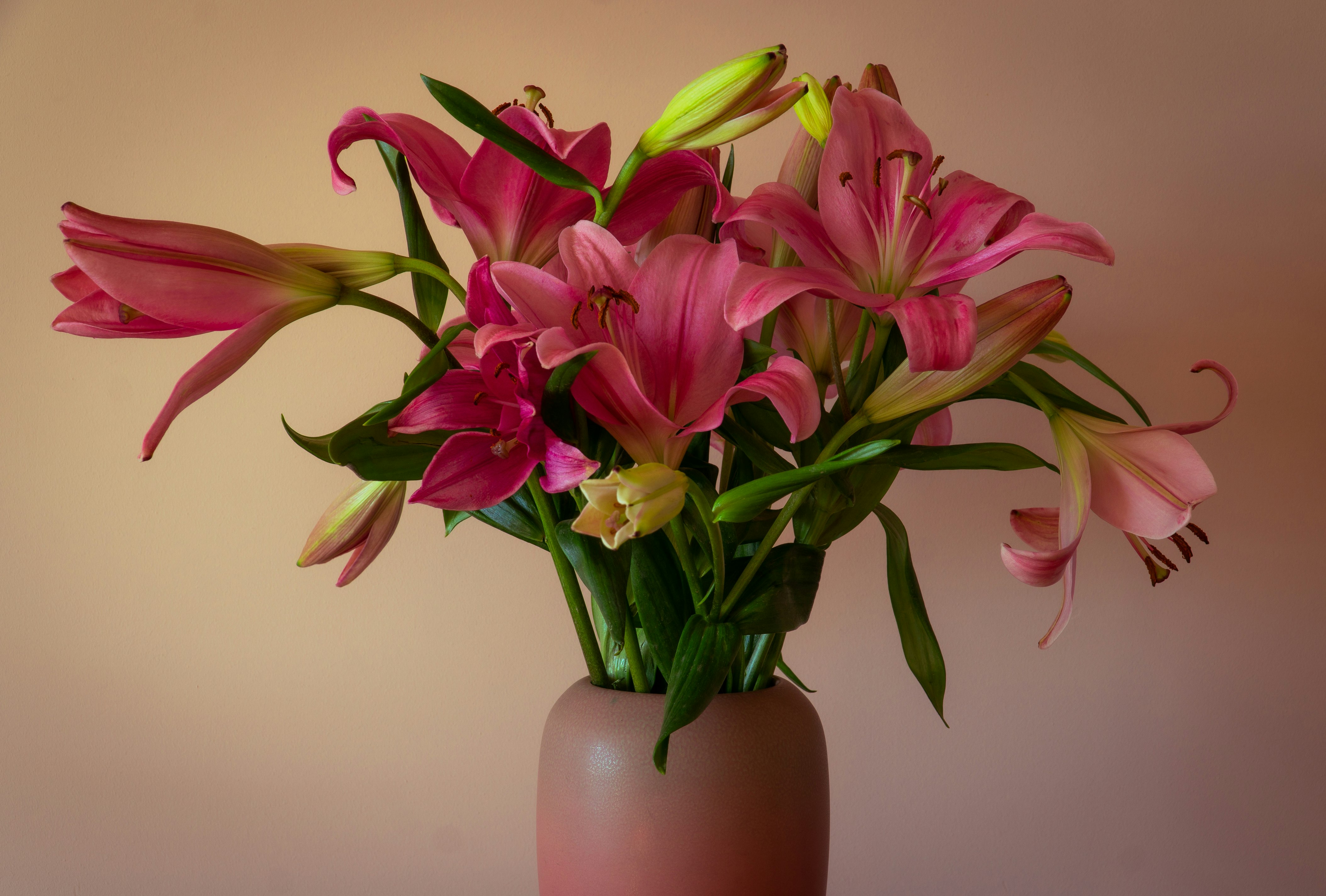 purple flowers on brown ceramic vase