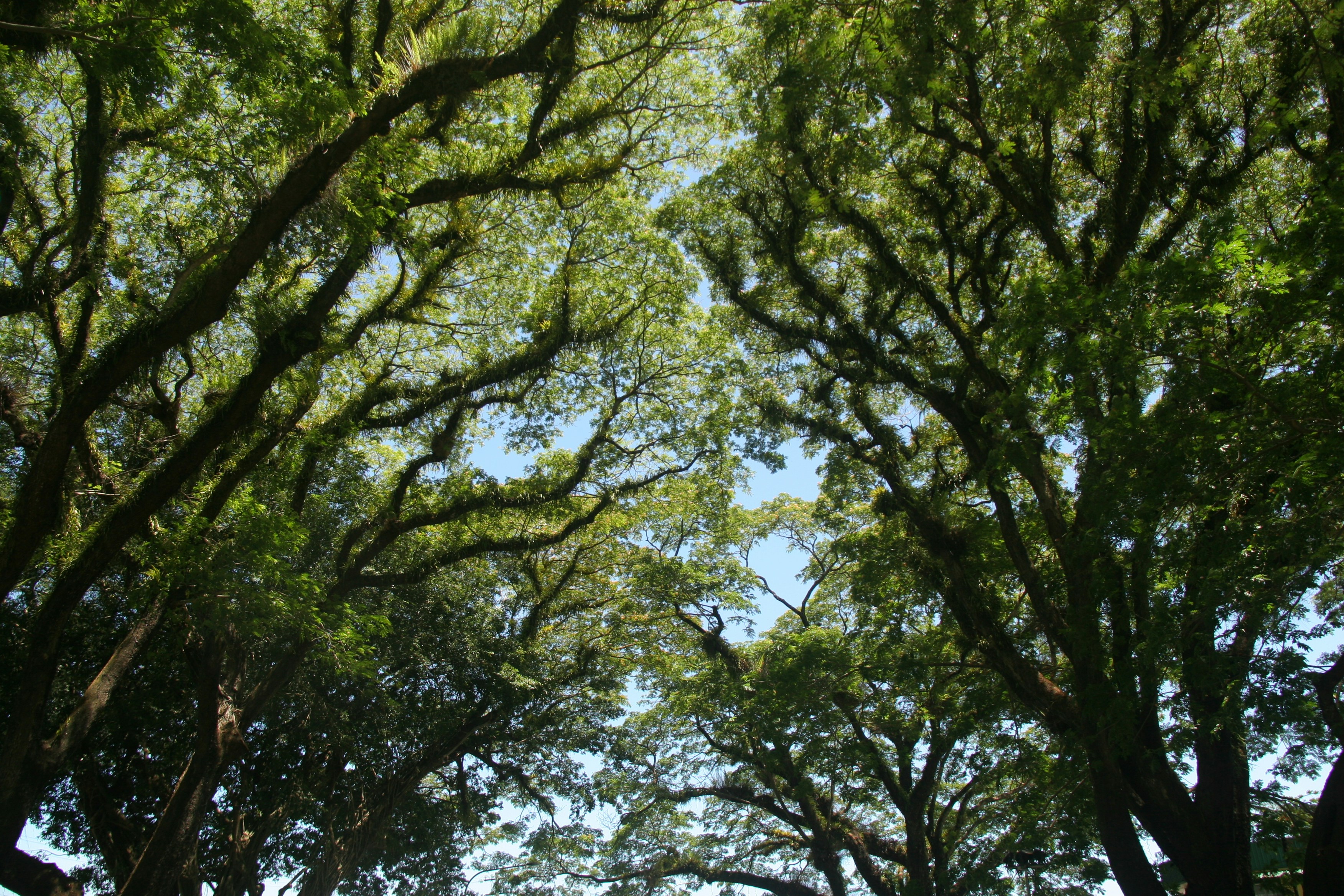 Photo by danielr2768