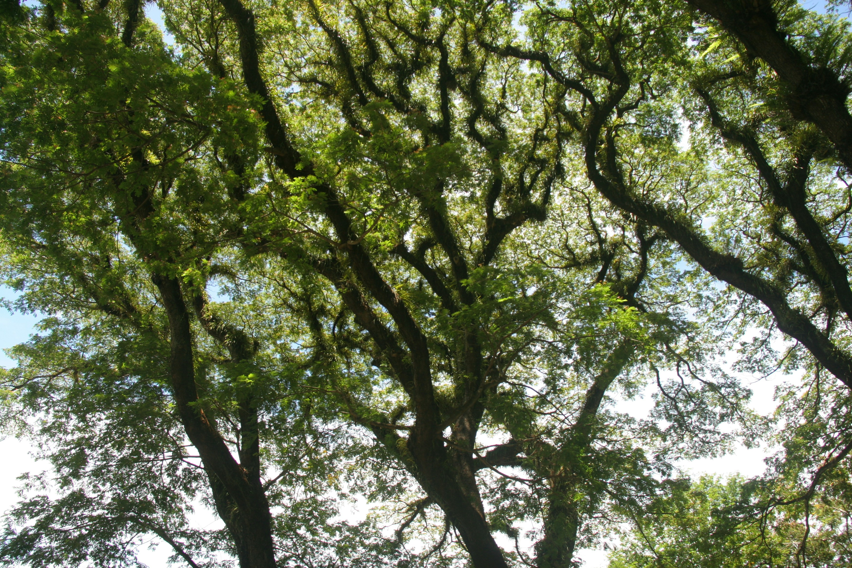 Photo by danielr2768