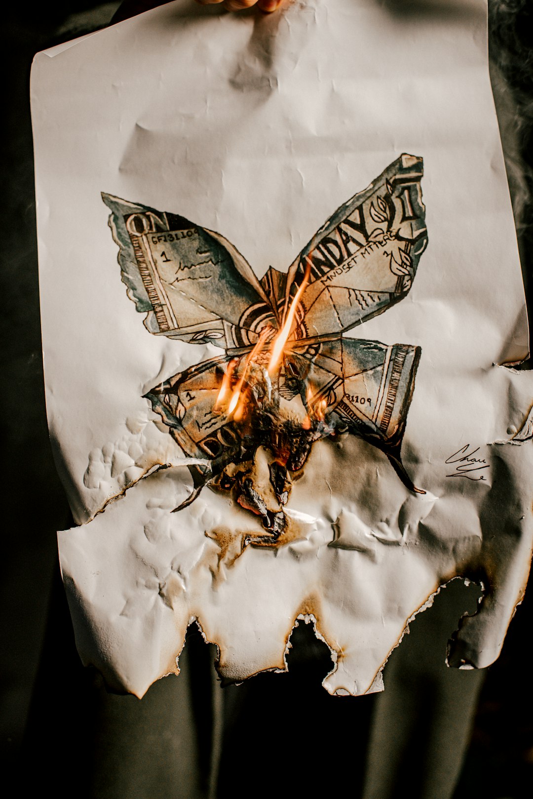 brown and black butterfly on white textile