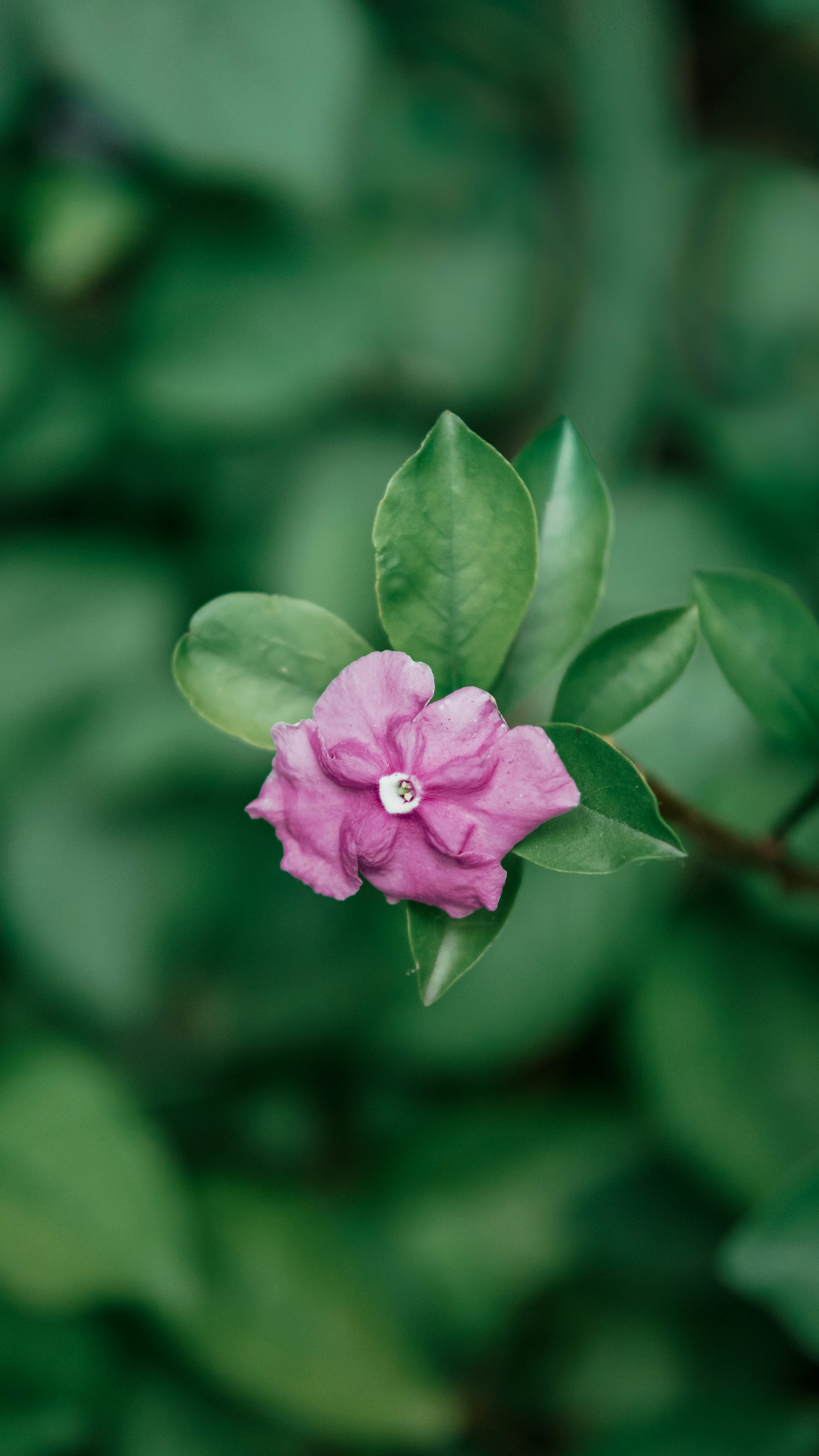 Photo by nature_of_the_experiment