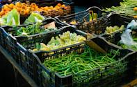 green plastic crate with fruits