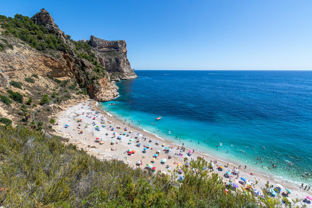 people on beach during daytime