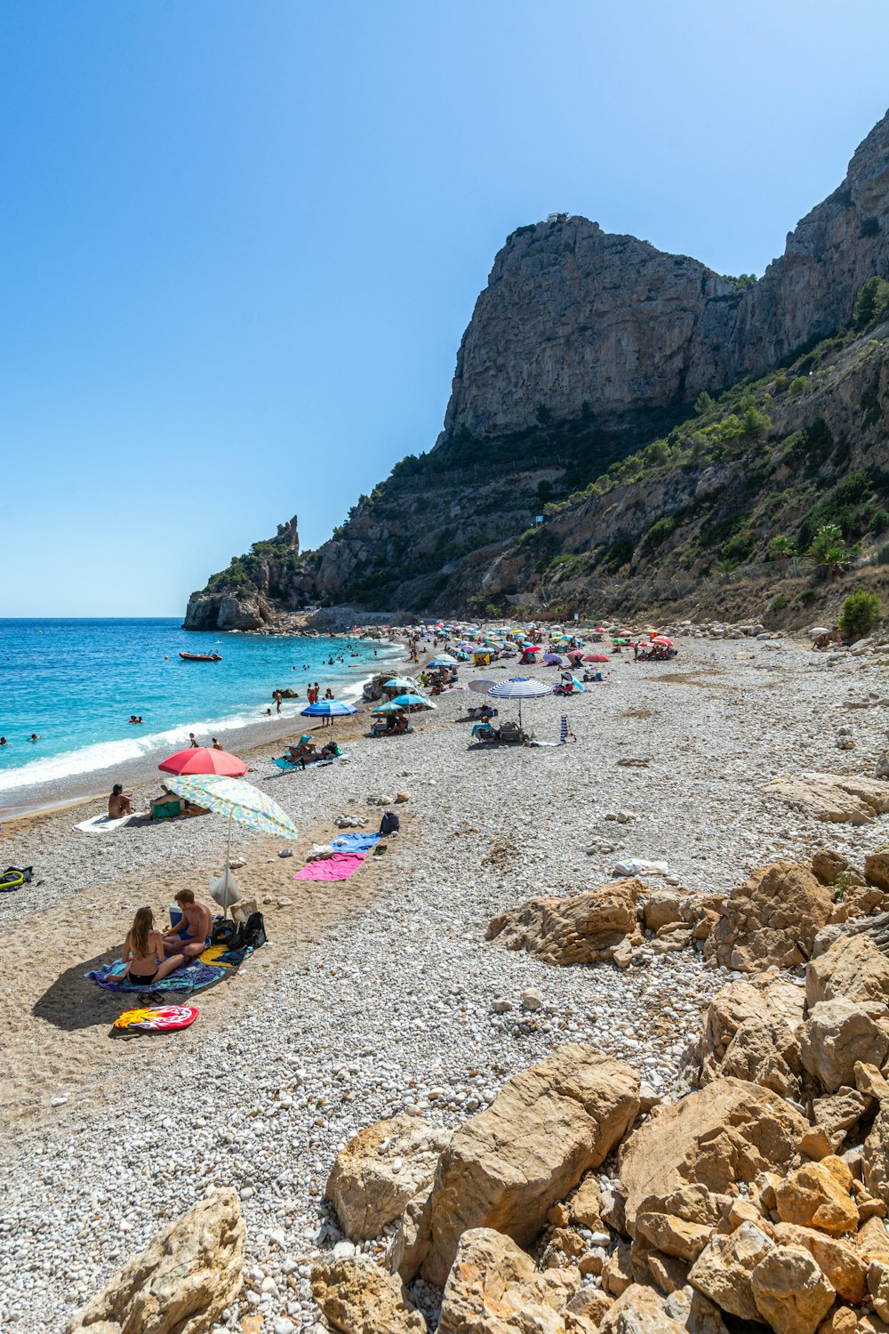 people on beach during daytime