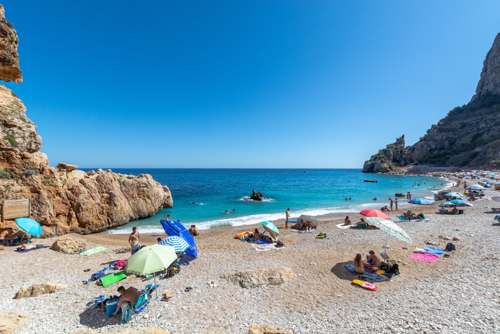 people on beach during daytime