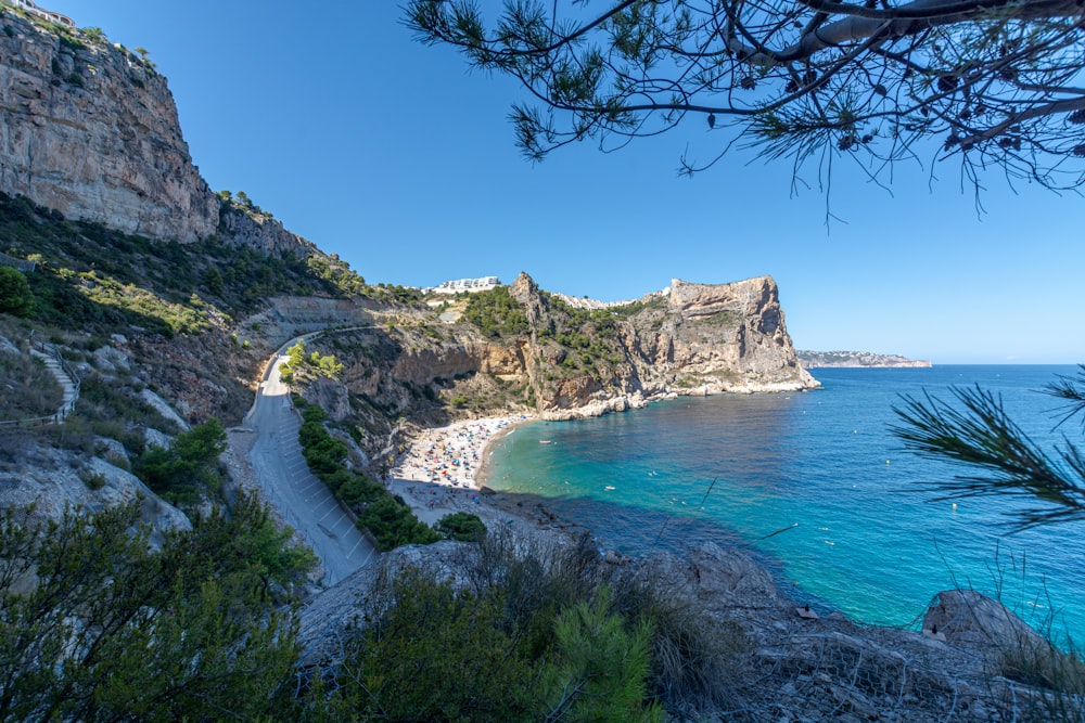 árvores verdes na montanha rochosa marrom ao lado do mar azul sob o céu azul durante o dia