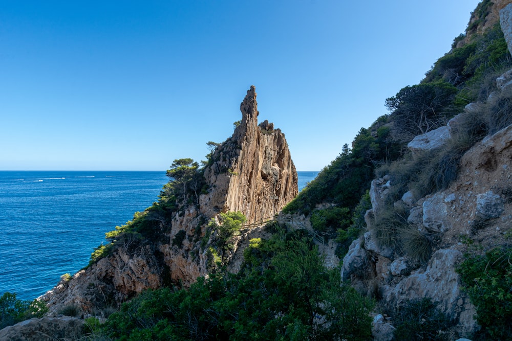 green trees on brown rocky mountain near blue sea under blue sky during daytime