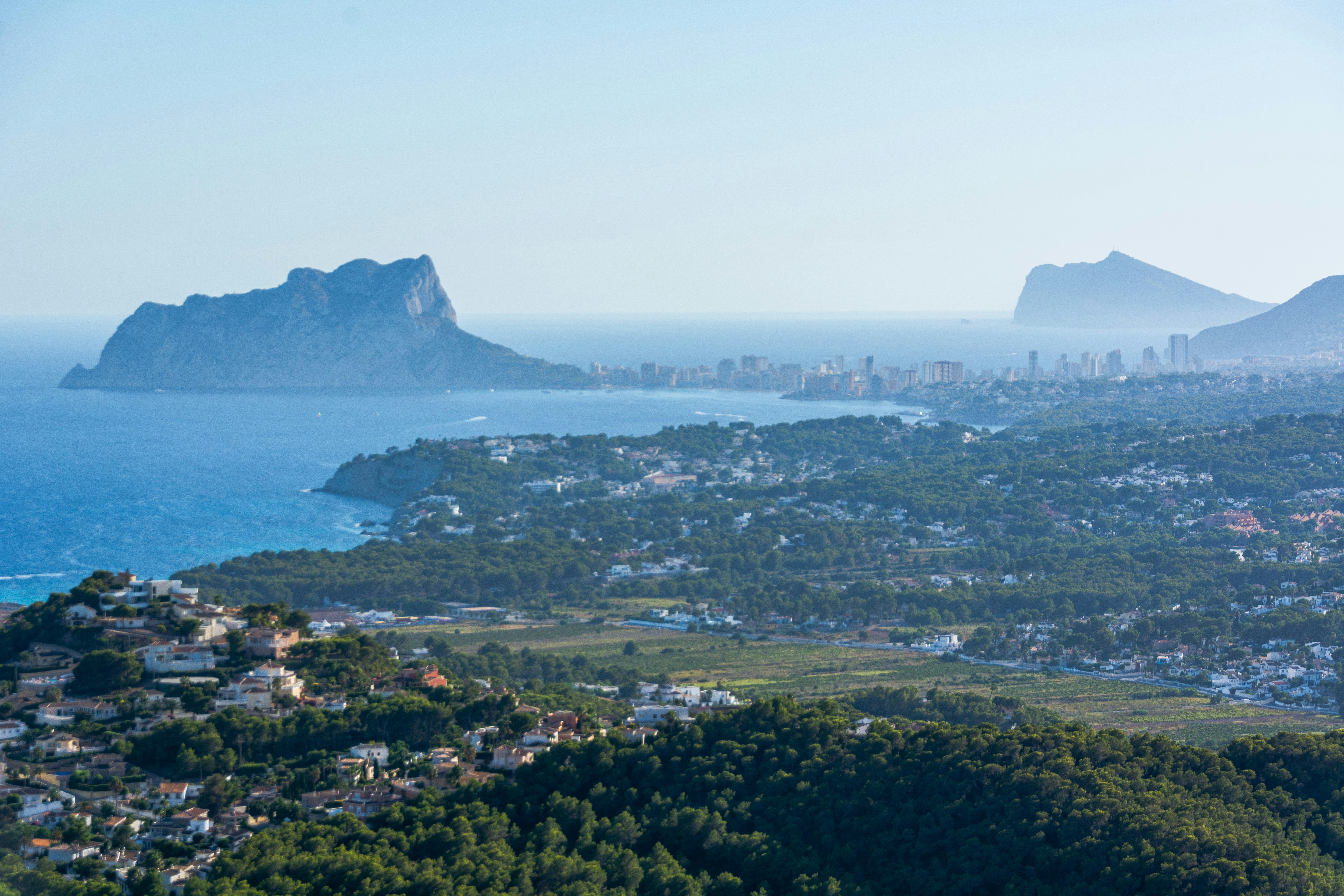 Árboles verdes cerca del cuerpo de agua durante el día